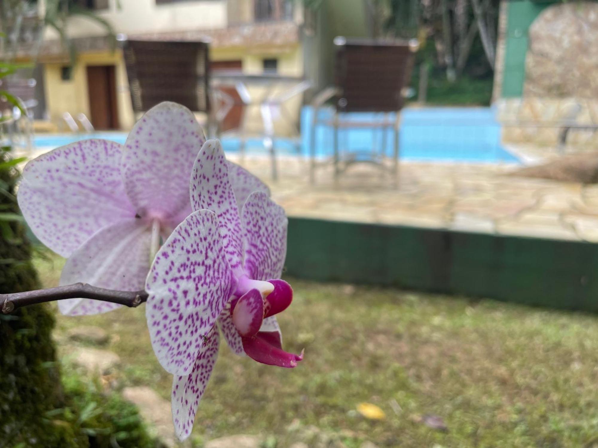 Canto De Itamambuca Ubatuba Dış mekan fotoğraf